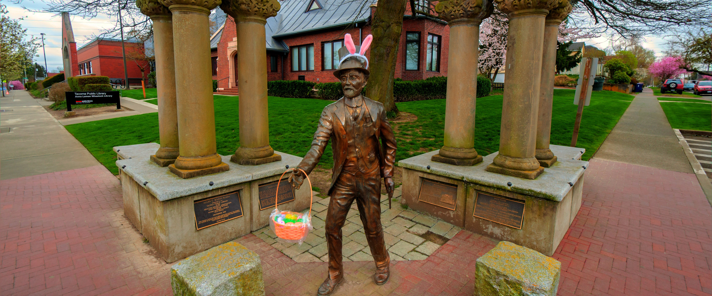 gardening, nursery, plants, landscaping, trees, lawn care