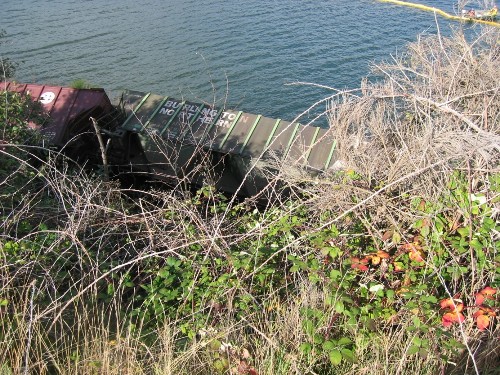 Steilacoom Train Derailed October 18, 2007