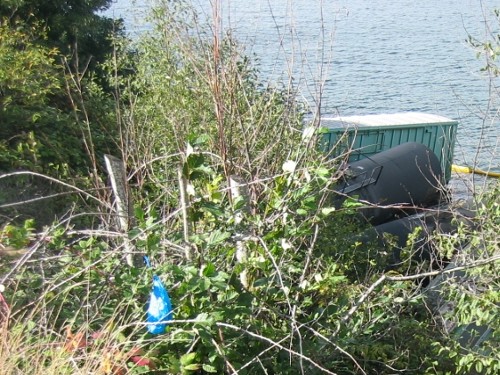 Steilacoom Train Derailed October 18, 2007