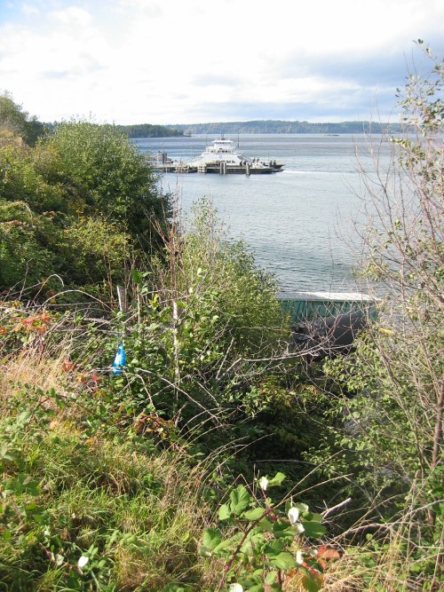 Steilacoom Train Derailed October 18, 2007