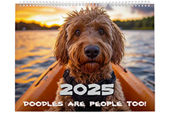 Doodles Are People Too Calendar