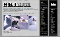 Skivolution