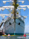 tallshipskayaks.jpg (104490 bytes)