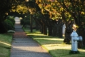 fire hydrant, sidewalk, trees