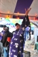 snuggy, uw, huskies