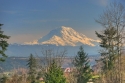 mount rainier