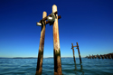kayak, piling, commencement bay, ruston way