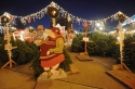 25 Trees, downtown tacoma, cheap, christmas trees