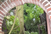 Fallen Tree Arch