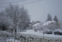 March Morning Snow